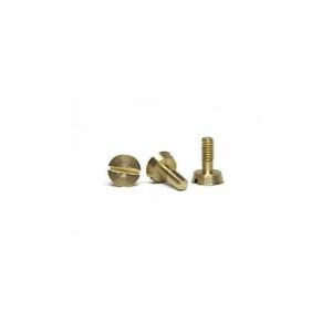 TORNILLERÍA MÉTRICO 2.2X5.3MM EN CABEZA GRANDE Y CÓNICA.