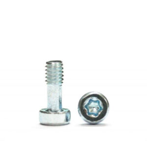 TORNILLO M2,1 X 5 ESPECIAL CARROCERIAS TORX T6