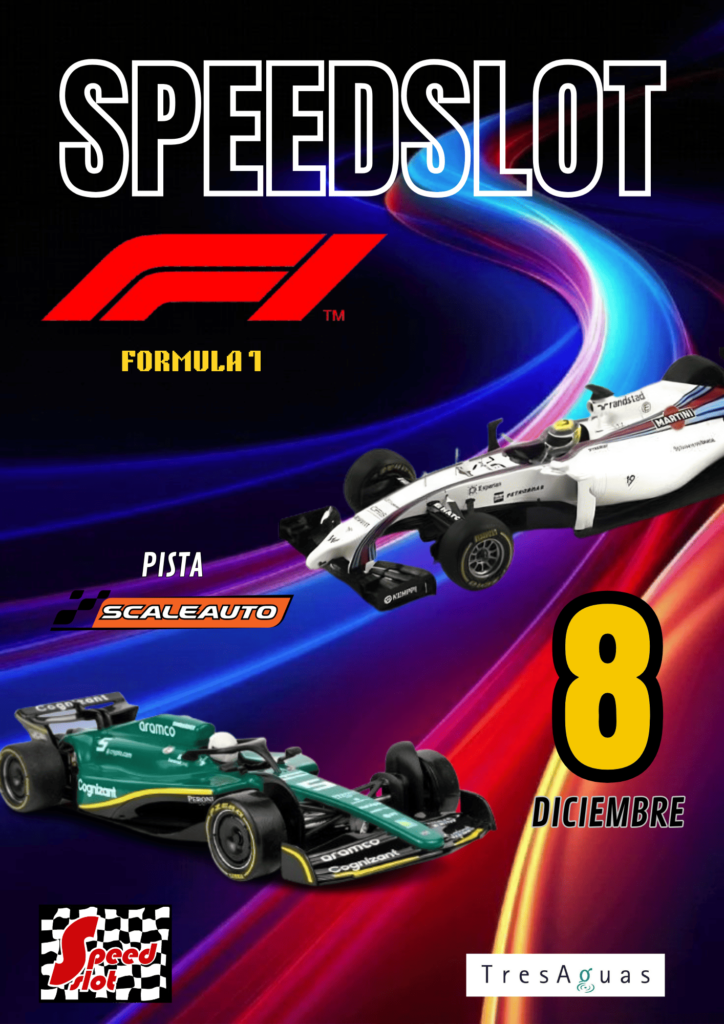 Copa Scaleauto (6) (1)